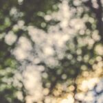 How to Start Investing in 2026 With $100 — Step-by-Step for Beginners